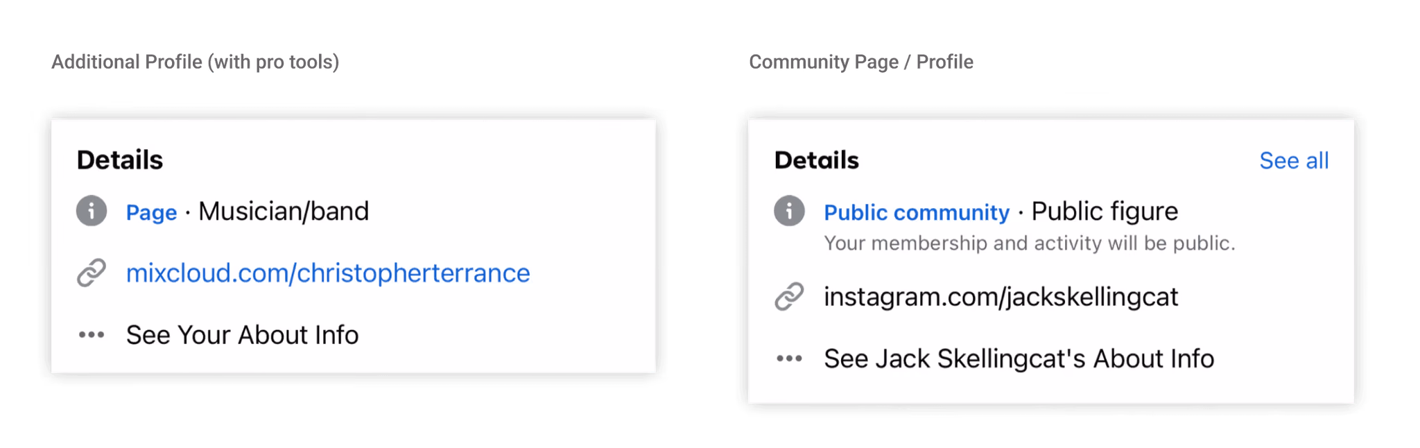 Current implementation: Page label in Details section