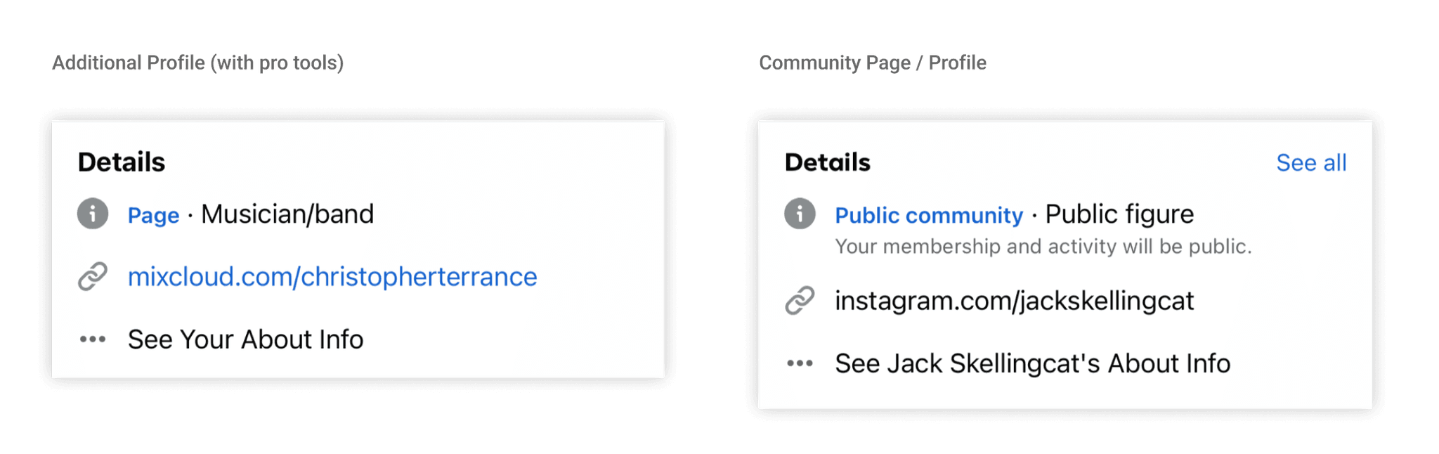 Current implementation — Page label in Details section